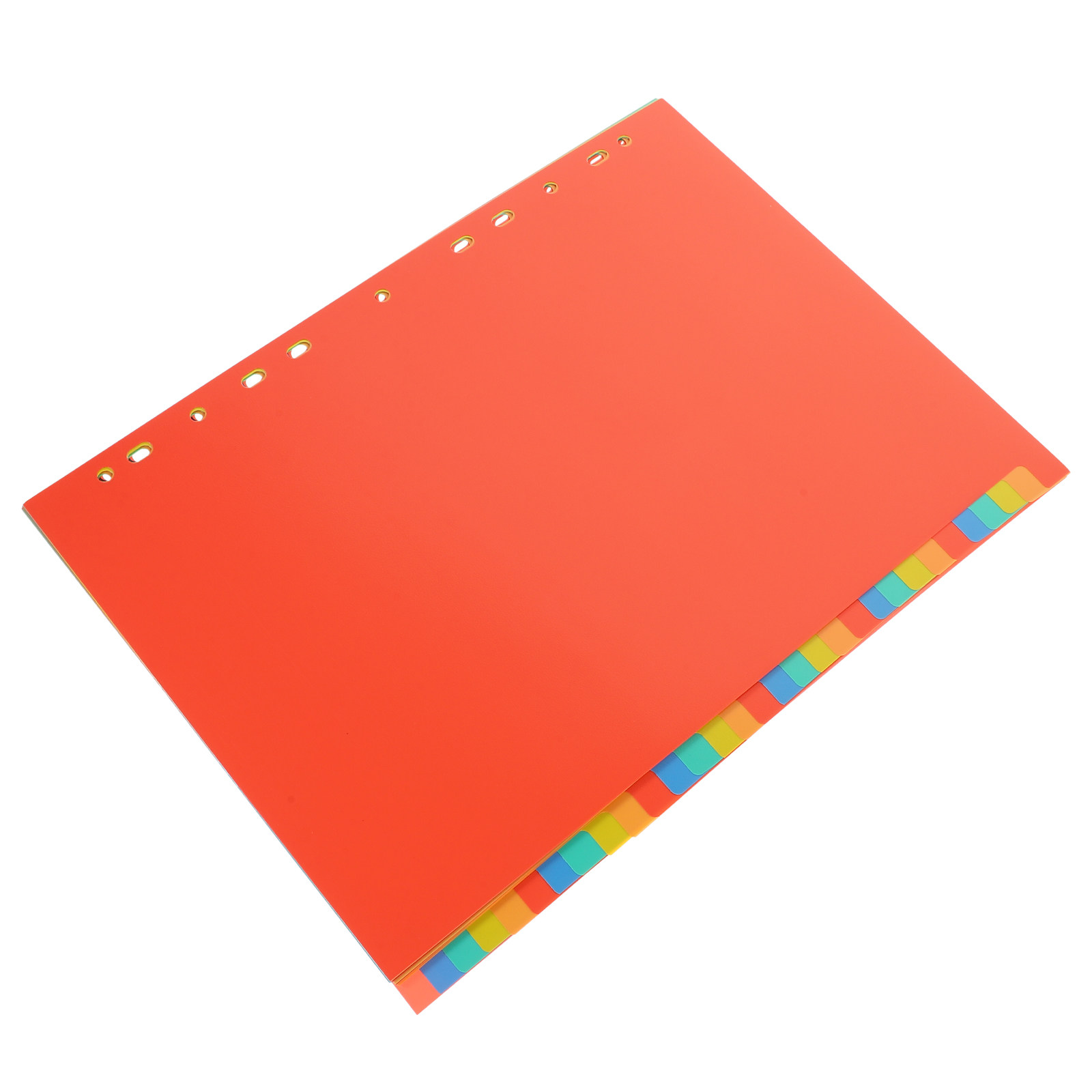 31 arkuszy wzmocnionych segreg – Tab Divider A4 recenzja i cena