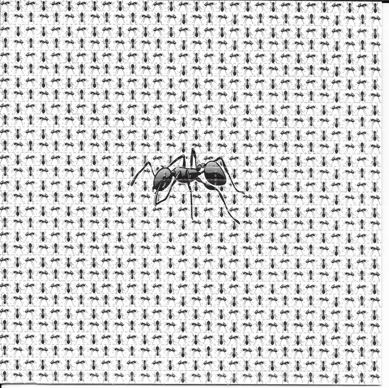 Anty Zwierzęta Psychodeliczne  – Ink Blotter Paper recenzja i cena