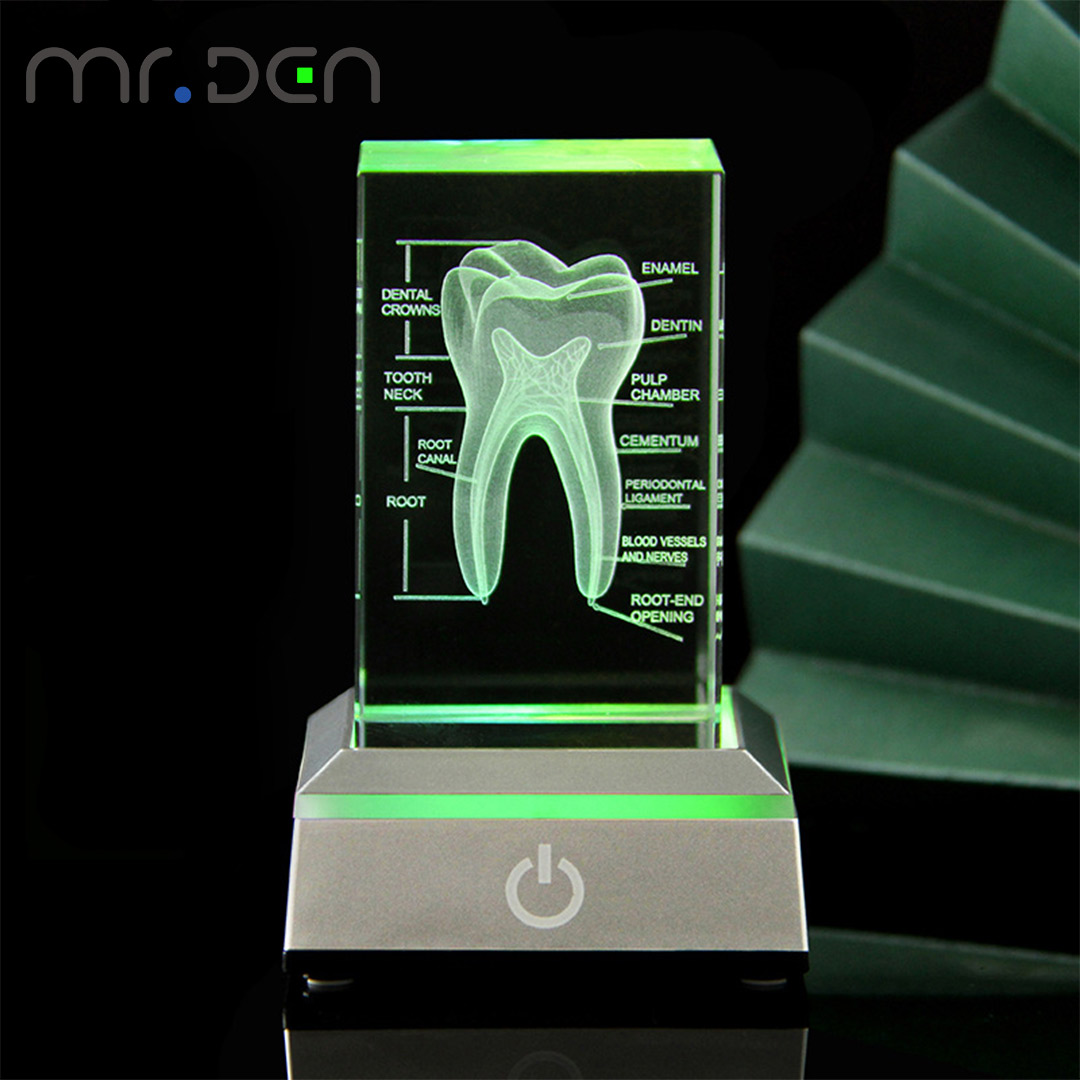 Dental 3D grawerowane laserowo – Paper Weight Crystal recenzja i cena