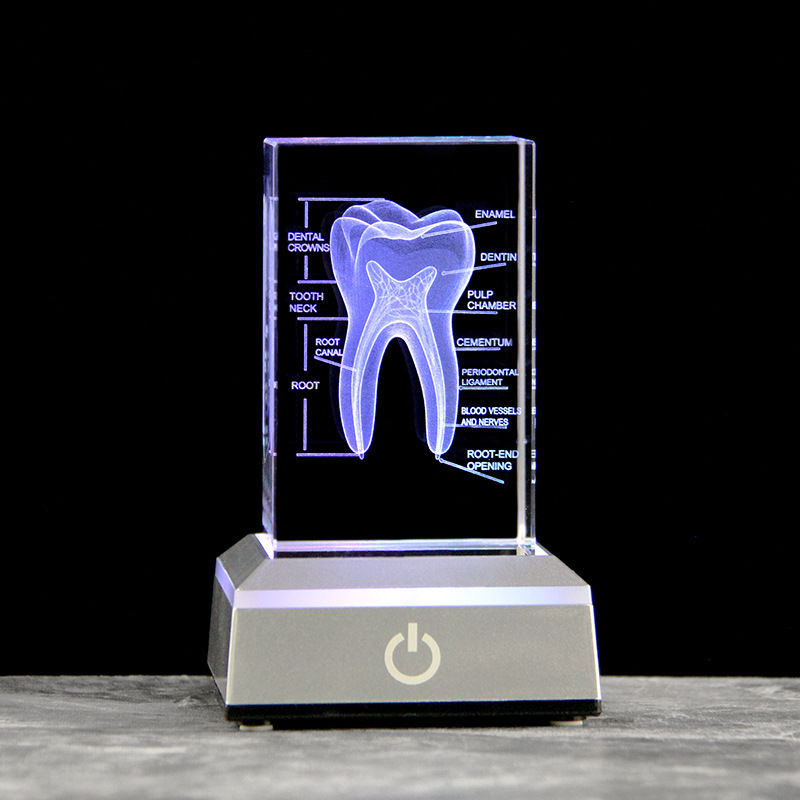 Dental 3D grawerowane laserowo – Paper Weight Crystal recenzja i cena